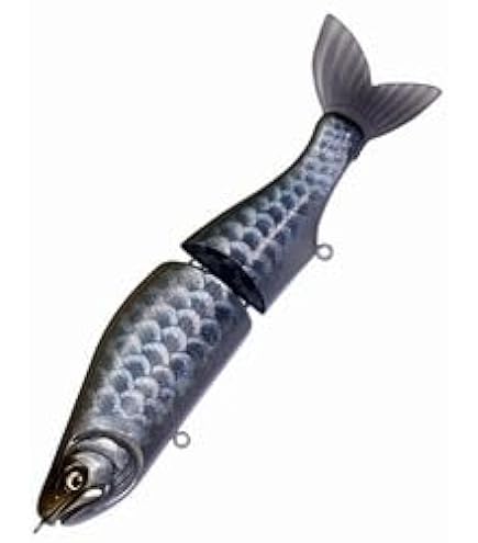 Amazon.co.jp: i-SLIDE 265 R GLX シルバーサーモン : スポーツ